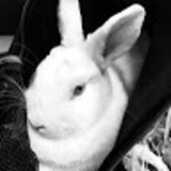 Meet your Posher, Charnee - Picture 1 of 1